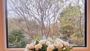 Ein Fenster mit Blick auf Bäume und ein Korb voller weißer Blumen auf der Fensterbank.