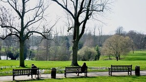 Ein Park mit Bänken und Bäumen.
