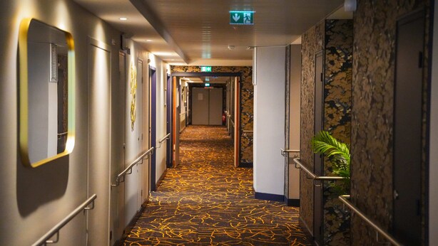 Corridoio di un hotel con tappeto a motivi, porte e una pianta.