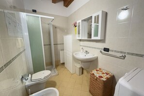 Shower, hair dryer, bidet, towels
