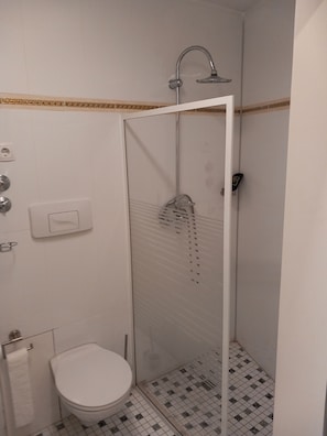 Hair dryer, towels, soap, toilet paper