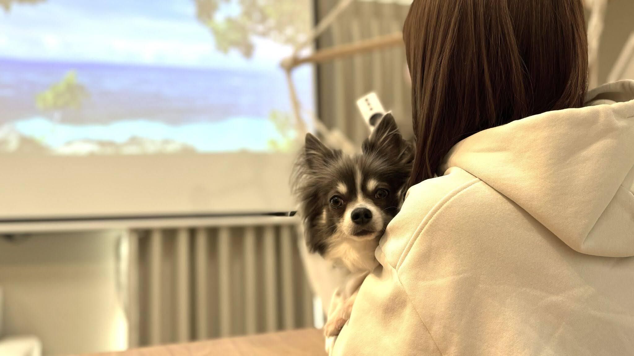 A person holding a small dog in front of a projector screen displaying a landscape.
