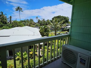 Property grounds - Yonegan Plumeria Hilo Hotel - Honu (Turtle) # 11 (Hilo)