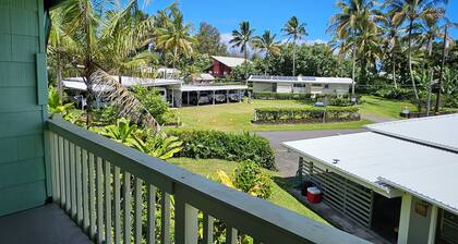 Yonegan Plumeria Hilo Hotel - Honu (Turtle) # 11