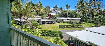 Yonegan Plumeria Hilo Hotel - Honu (Turtle) # 11