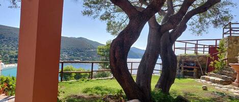 A tree in a garden with a view of a lake and mountains in the background.