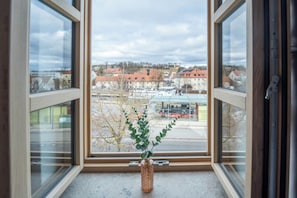 Vista desde la habitación