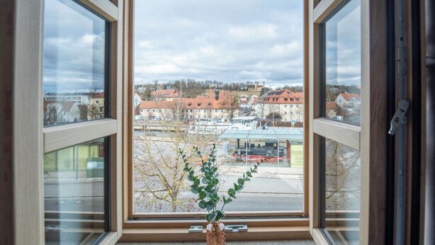 A window with a view of a town, a plant in a woven basket, and a metal railing. - dreamcation Altstadthotel Regensburg (Regensburg)