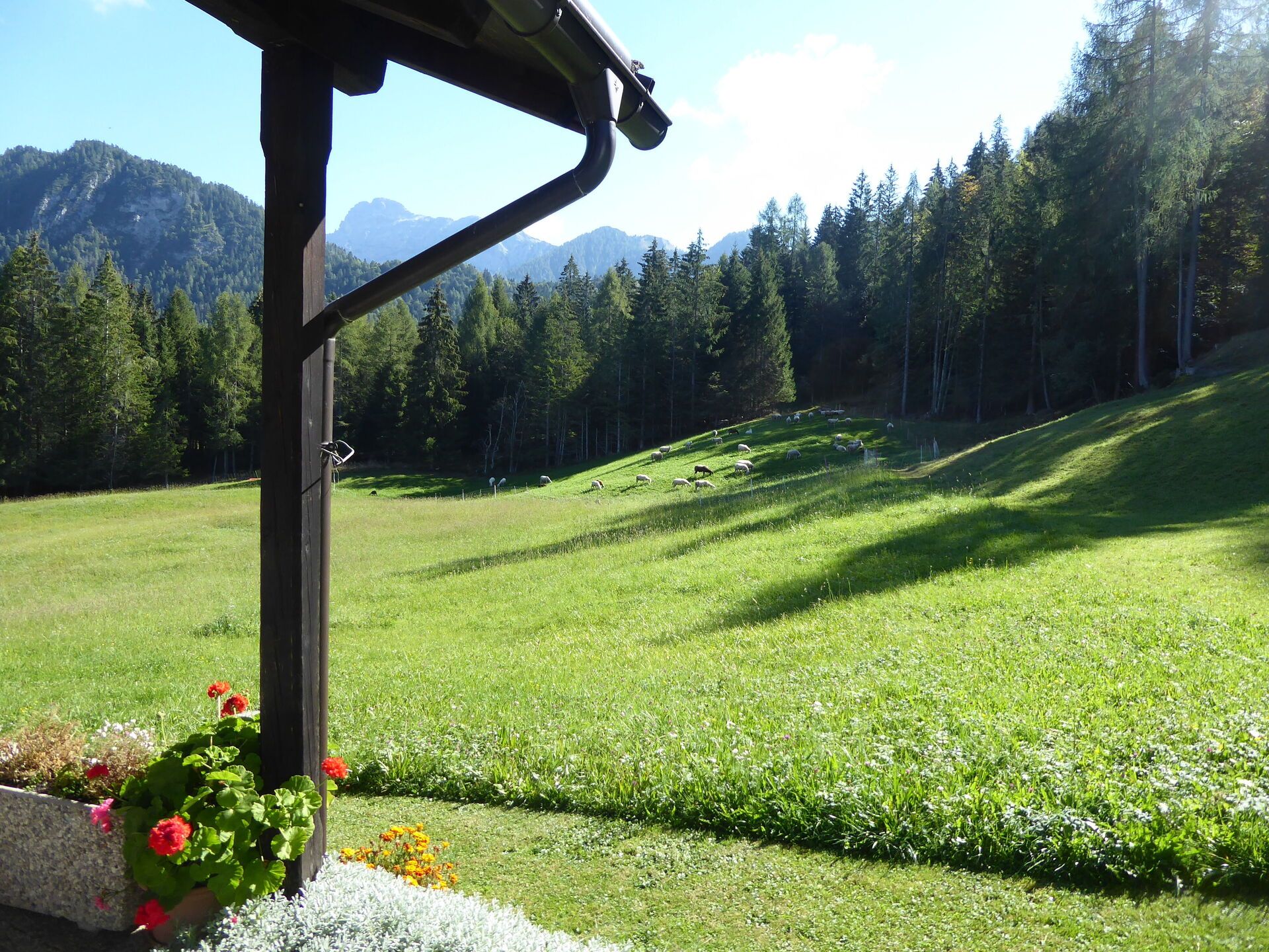 Autumn, Garden, Spring, Summer