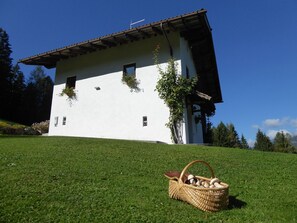 A white building with a sloped roof, windows, and a basket of mushrooms on the grass.