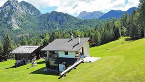 A small, rustic chalet with a sloped roof, surrounded by lush green grass and dense forest.