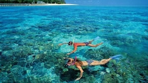 Two people snorkeling in clear blue water with a beach and palm trees in the background.
