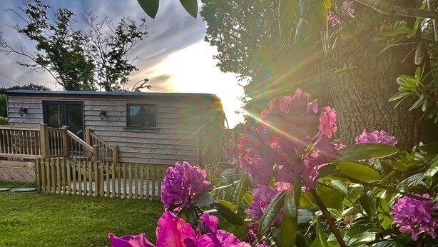 Eine Holzhütte mit einer Veranda, umgeben von üppigem Grün und leuchtend rosa Blüten.