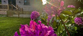 Modern Shepherds Hut in Dorset, near New Forest & Beaches, Dog friendly