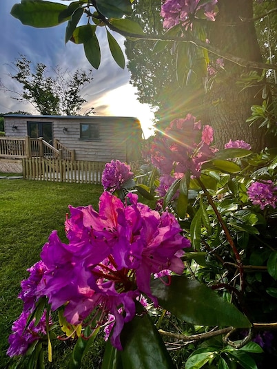 Modern Shepherds Hut in Dorset, near New Forest & Beaches, Dog friendly
