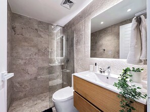 Douche, séchoir à cheveux, serviettes fournies