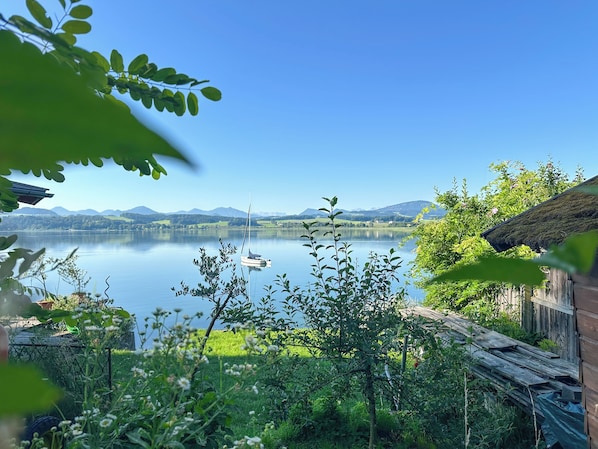 A serene lakeside view with a sailboat, lush greenery, and distant mountains.