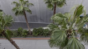 A view of a building with a tiled floor and palm trees in front. - Waterfront Vibes by Wonderful Italy (Genoa)