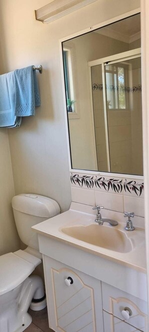 Serviettes fournies, savon, papier toilette