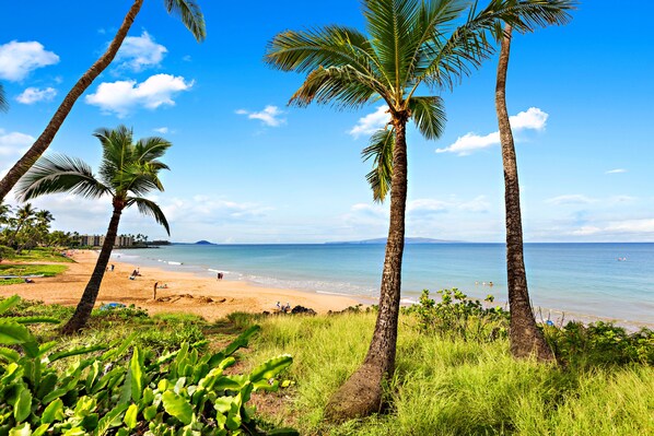 Plage à proximité