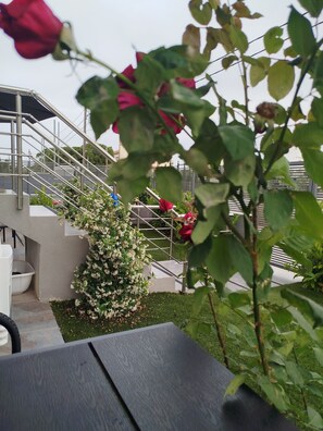 Terrace/patio - Aloha Inn (Spata-Artemida)