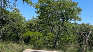 A stone fire pit with a flat stone seating area in a natural setting. - Lovely 3 bed House in Juliasdale - 2273 (Nyanga)