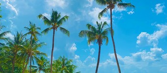 Royal Mandarin Hotel & Resort