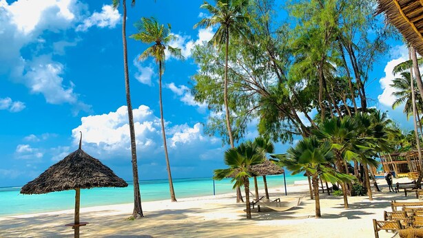 A beach with thatched umbrellas, palm trees, and a sandy beach. - Royal Mandarin Hotel & Resort Zanzibar (Kiwengwa)