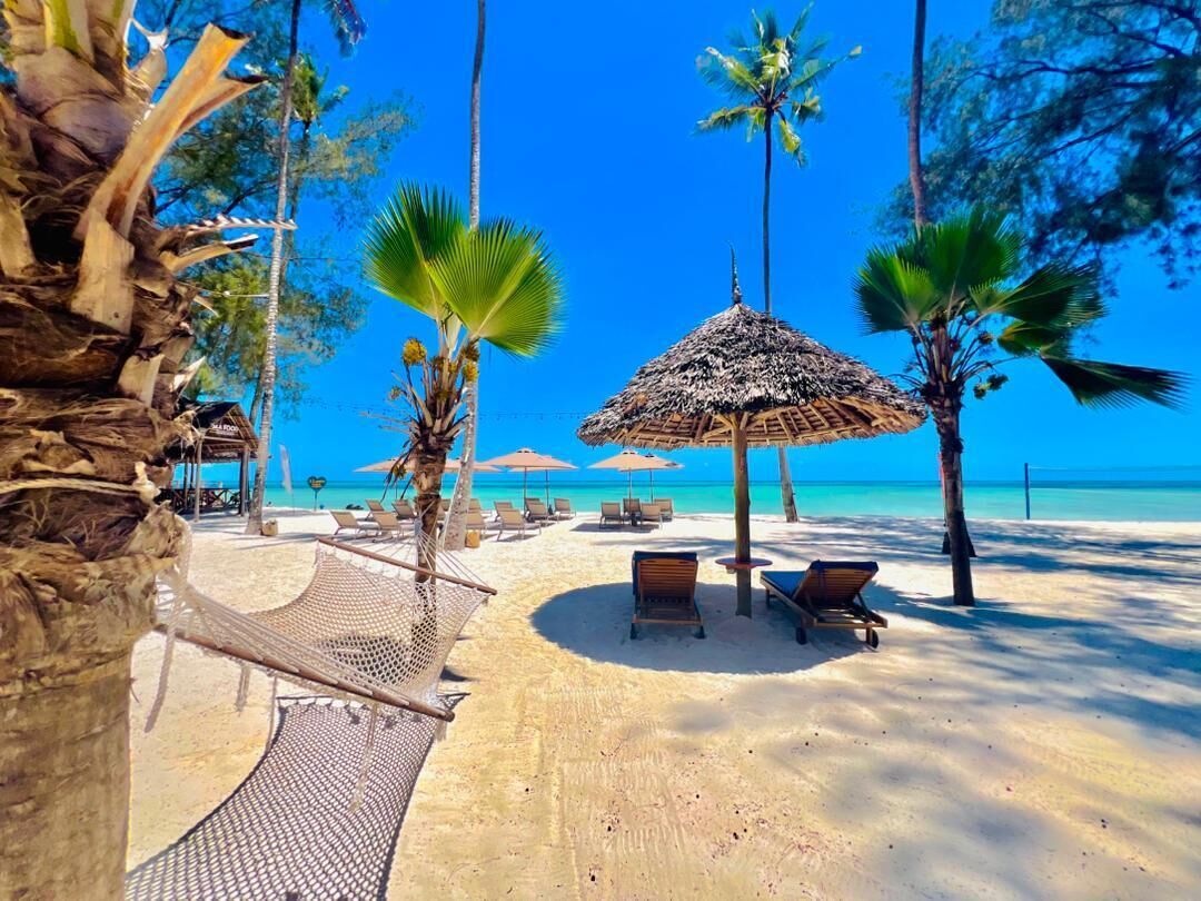 Une plage avec des parasols en chaume, des chaises longues et des palmiers.