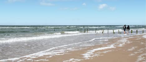 Pesca