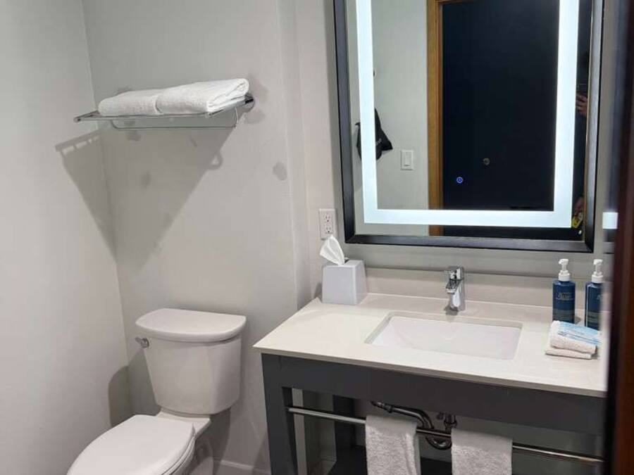 A bathroom with a toilet, sink, mirror, and towel rack.