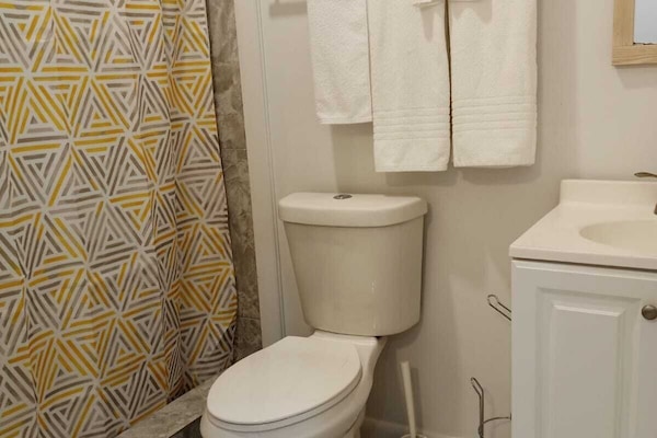 Shower, towels, soap, toilet paper