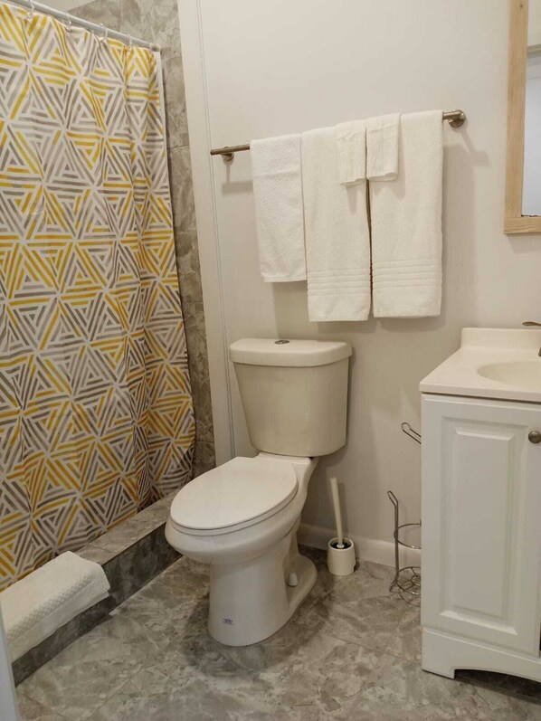 Regadera, toallas, jabón, papel de baño