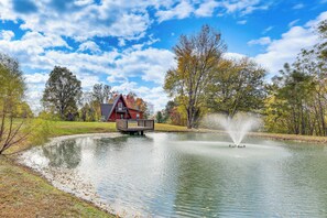 House (1 Bedroom) | Interior