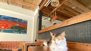 A wooden dining table with a cat sitting on it, a wooden ceiling with a woven texture, and a painting on the wall. - Hotel Casa Kai (Dibulla)