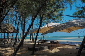 Outdoor dining - Safari tent Amazing Camping Vivu24h (Huyen Xuyen Moc)