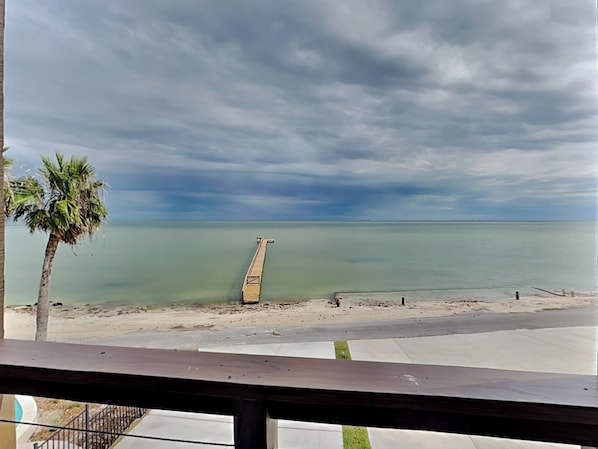 A beach view with a wooden pier extending into the water, a palm tree, and a clear sky.