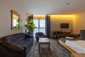 Desk, laptop workspace, iron/ironing board, free WiFi - Start Skrzyczne (Szczyrk)