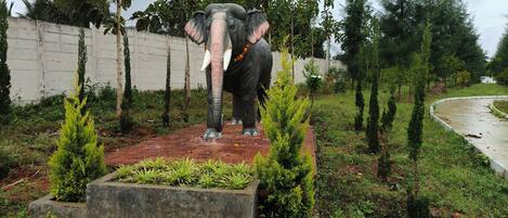 Terrein van de accommodatie