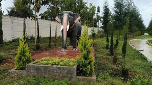 Property grounds - Encanto Farmstay- 2BHK Villa (Mysuru)