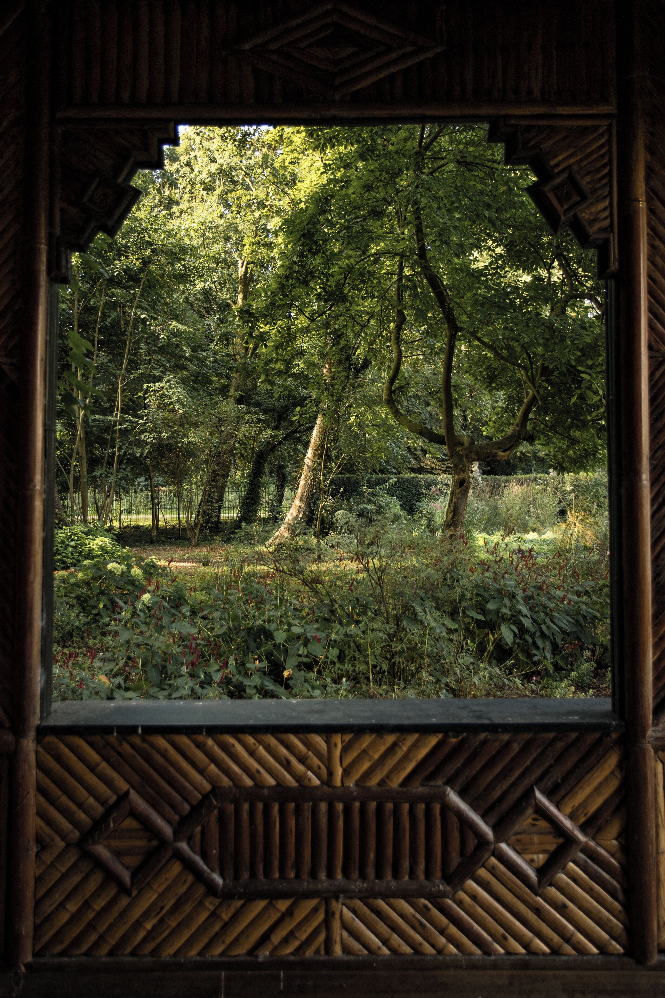 A view through a wooden structure with a geometric pattern, overlooking a forested area with trees and underbrush.