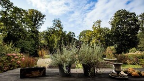A wooden table with potted plants, a stone urn, and a birdbath.