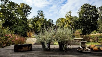 Habitación Deluxe doble, vistas al jardín | Terraza o patio