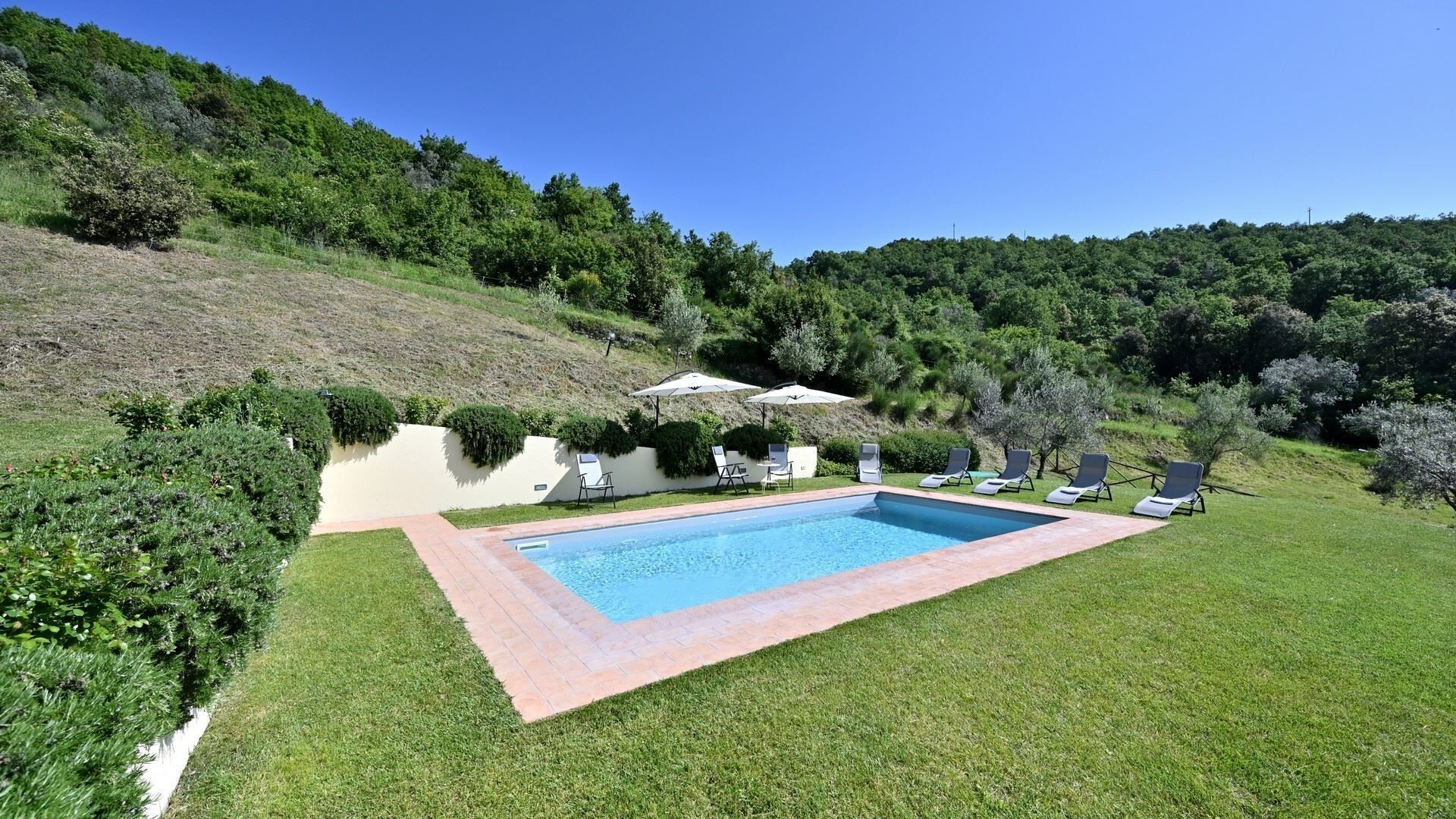 A rectangular swimming pool with a tiled border, surrounded by a well-maintained lawn and several lounge chairs.