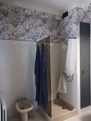 Douche, séchoir à cheveux, bidet, serviettes fournies
