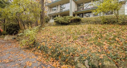 The perfect wooded retreat for artists, writers, readers, and beach lovers.