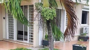 A building with a covered patio area, a palm tree with a cluster of green fruits, and a potted plant on the ground.
