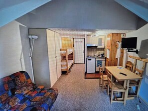 TV - Studio le lioran "les sagnes (Laveissière)