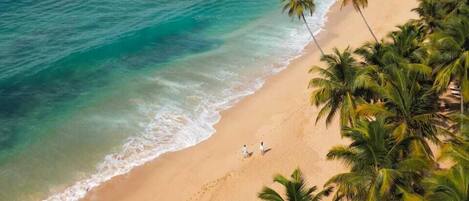 A beach with clear turquoise waters, palm trees, and a sandy shore.