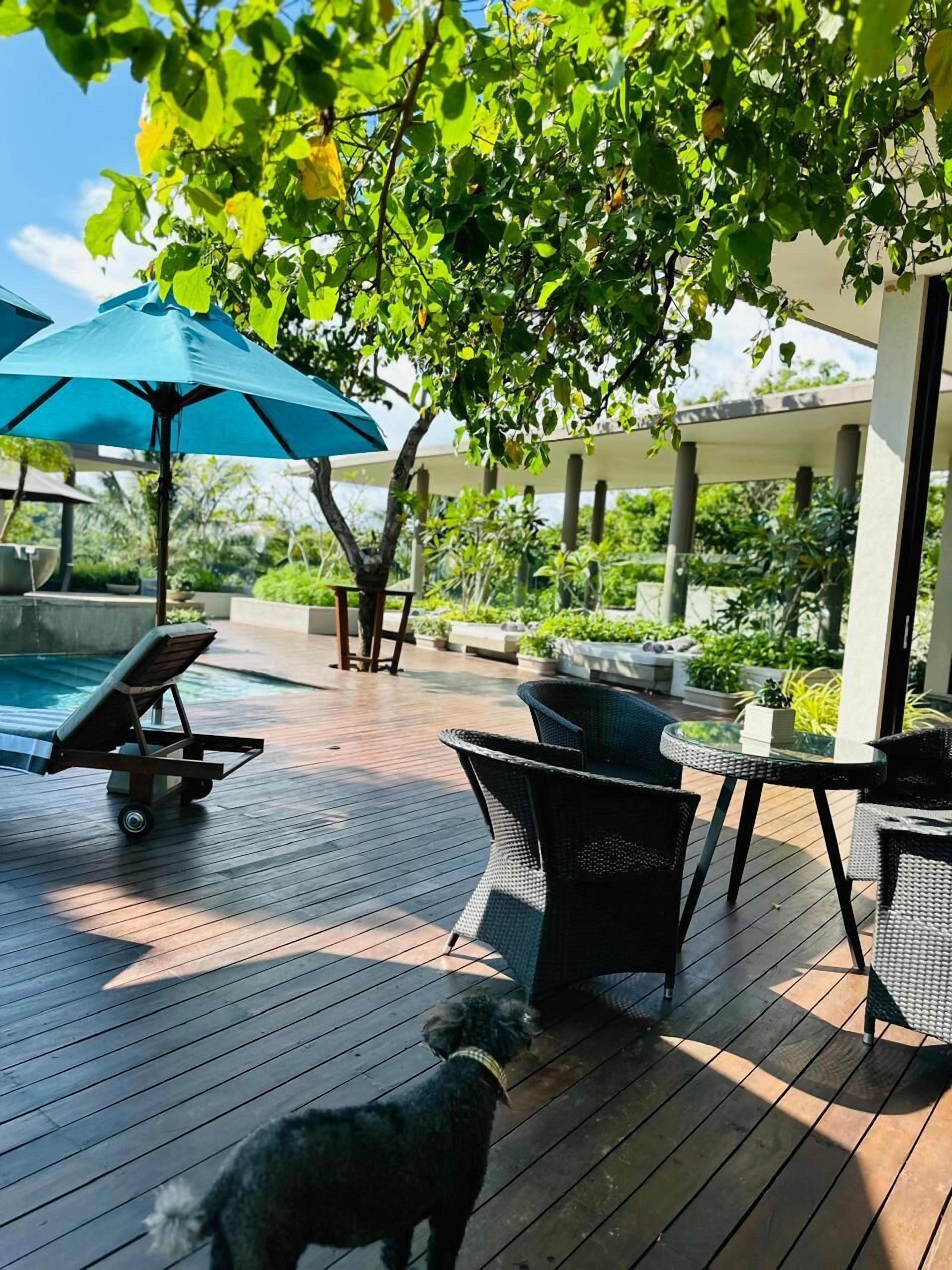 An outdoor deck with a pool, lounge chairs, and umbrellas.